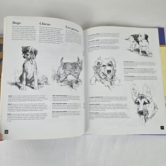 Bundle of Pencil Drawing Books and Graphite Pencils Arts Adult Teen - Picture 11 of 15